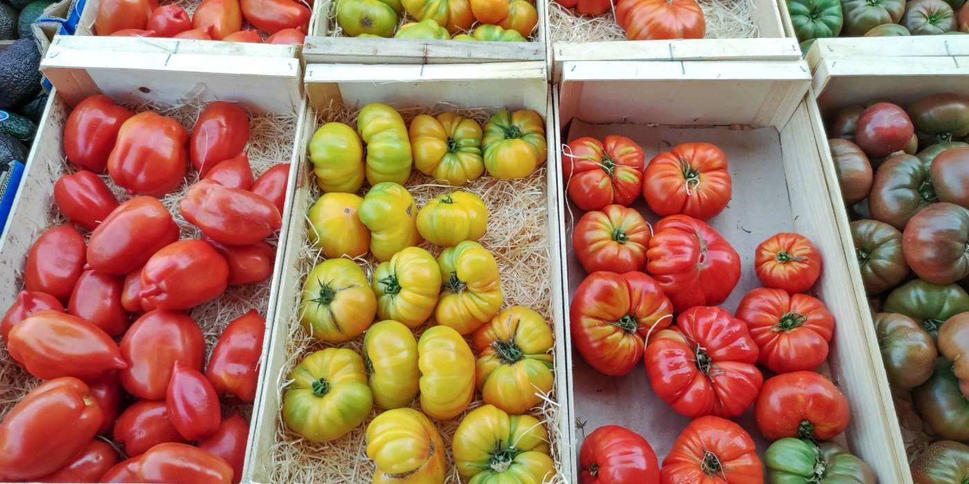 Tomaten in verschiedenen Farben, Formen und Größen liegen auf Holzwolle in Holzkisten.. Artikel "Tomaten: Von der Ernte in den Handel" öffnen.