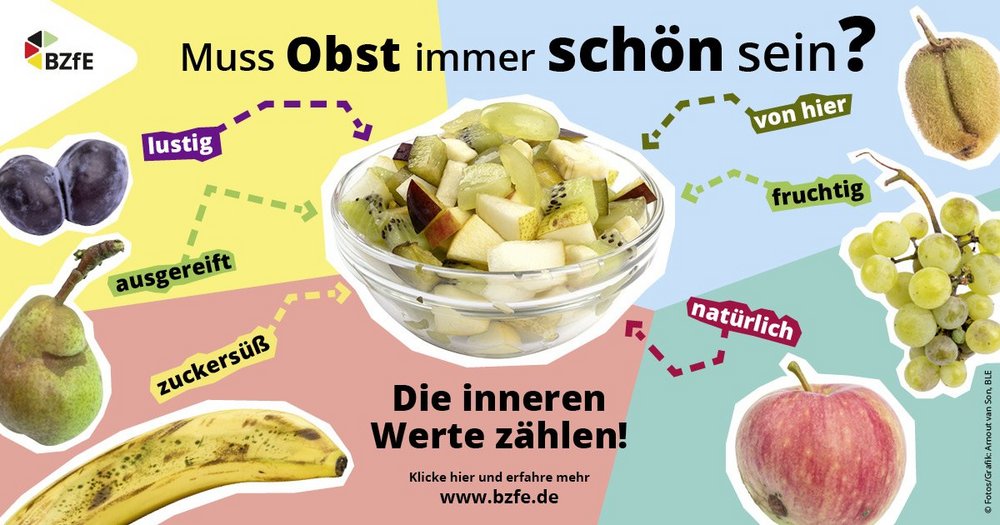 In einem Glasschälchen ist klein geschnittenes Obst. Rundherum sind nicht makellose Früchte mit anderen Begriffen für nicht makellos angeordnet. igen Begriffen angeordnet