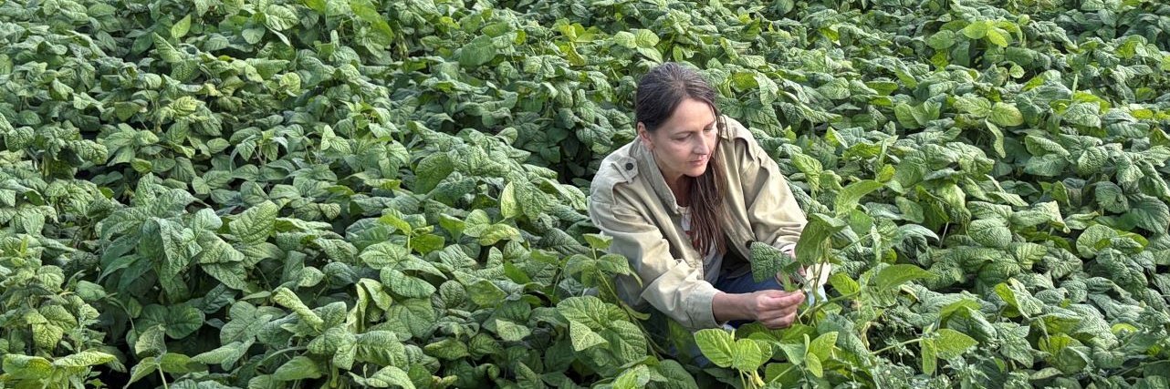 Cecilia Antoni prüft die Qualität von Bohnenschoten vor der Ernte.