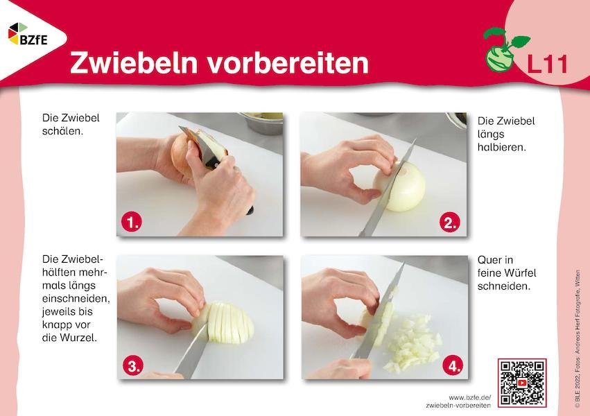 Karteikarte Zwiebeln vorbereiten.