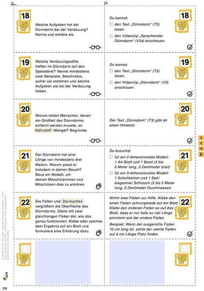 Beispielseite aus dem Material.