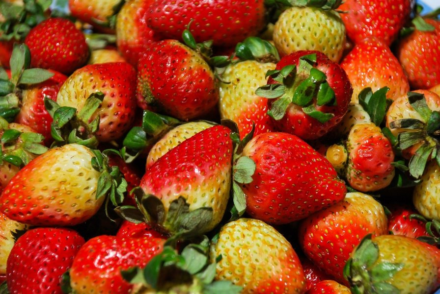 Unreife Erdbeeren