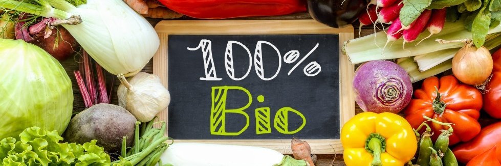In einer Auslage liegen Fenchel, Rote Bete, Weißkohl, Salat, Radieschen, Paprika, grüne Bohnen, Tomaten, Zwiebeln, Rettich und Aubergine um eine Tafel mit der Aufschrift „100 % Bio“ drapiert. 