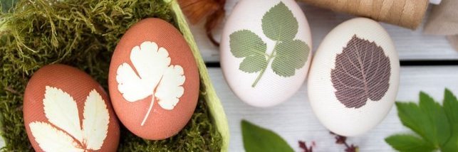 Vier natürlich gefärbte Ostereier.