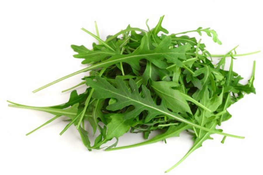 Ein Bund Rucola auf weißem Hintergrund.