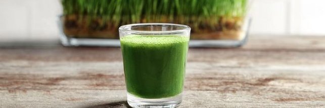 Weizengras Smoothie 