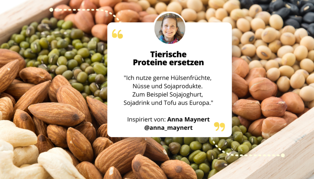 Hülsenfrüchte und darauf ein Feld mit Text und Zitat von Anna Maynert: Tierische Proteine ersetzen "Ich nutze gerne Hülsenfrüchte, Nüsse und Sojaprodukte. Zum Beispiel Sojadrink und Tofu aus Europa". 