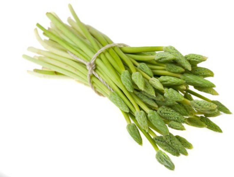 Ein Bund wilder Spargel liegt vor weißem Hintergrund.
