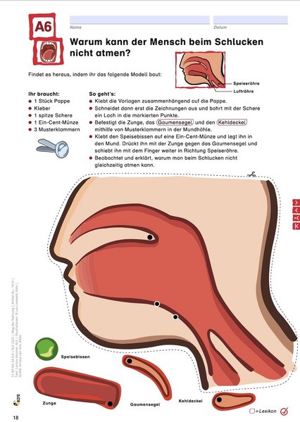 Beispielseite aus dem Material.