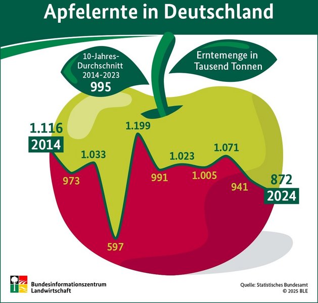 Die Infografik zeigt die Erntemengen von Äpfeln von 2014 bis 2024.