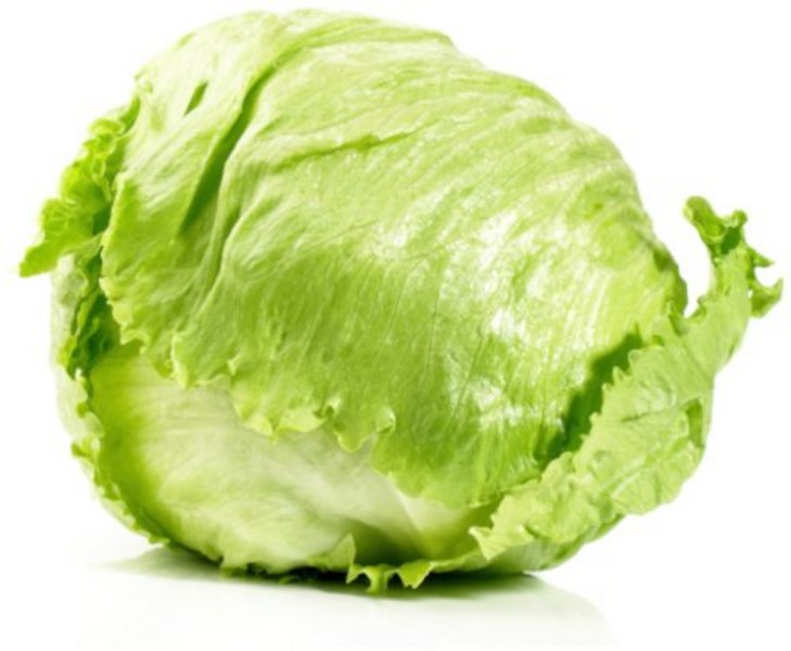 Ein Kopf Eissalat auf weissem Hintergrund.