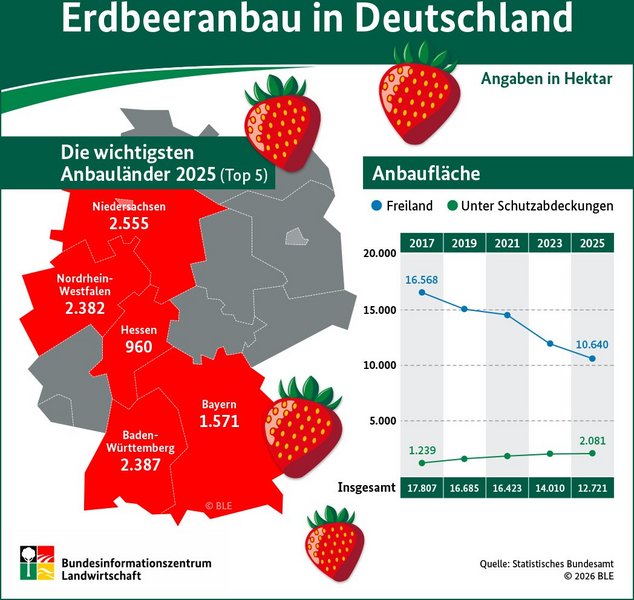 Die Grafik zeigt die Hauptanbaugebiete von Erdbeeren in Deutschland und informiert über den Anteil von Freilandanbau und geschütztem Anbau.