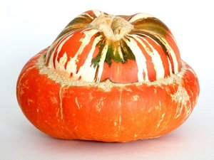 Ein orangenfarbener Kürbis, dessen obere Hälfte einen kleineren Umfang als die untere Hälfte hat. Die obere Hälfte hat grüne und weiß-gelbe Stellen.
