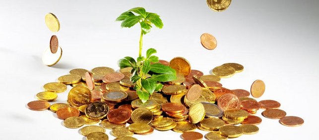 Pflanze auf einem Haufen Münzen