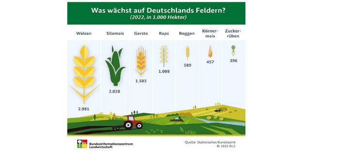 Infografik Hauptanbaukulturen in Deutschland