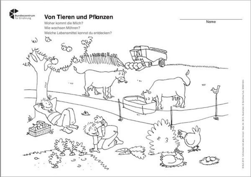 Ausmalbild zum Thema Von Tieren und Pflanzen.