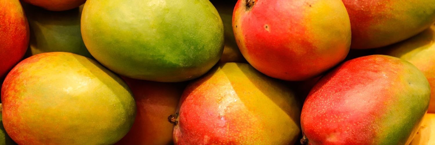 Das Bild ist ausgefüllt mit Mangos in Rot, Gelb und Grün. 
