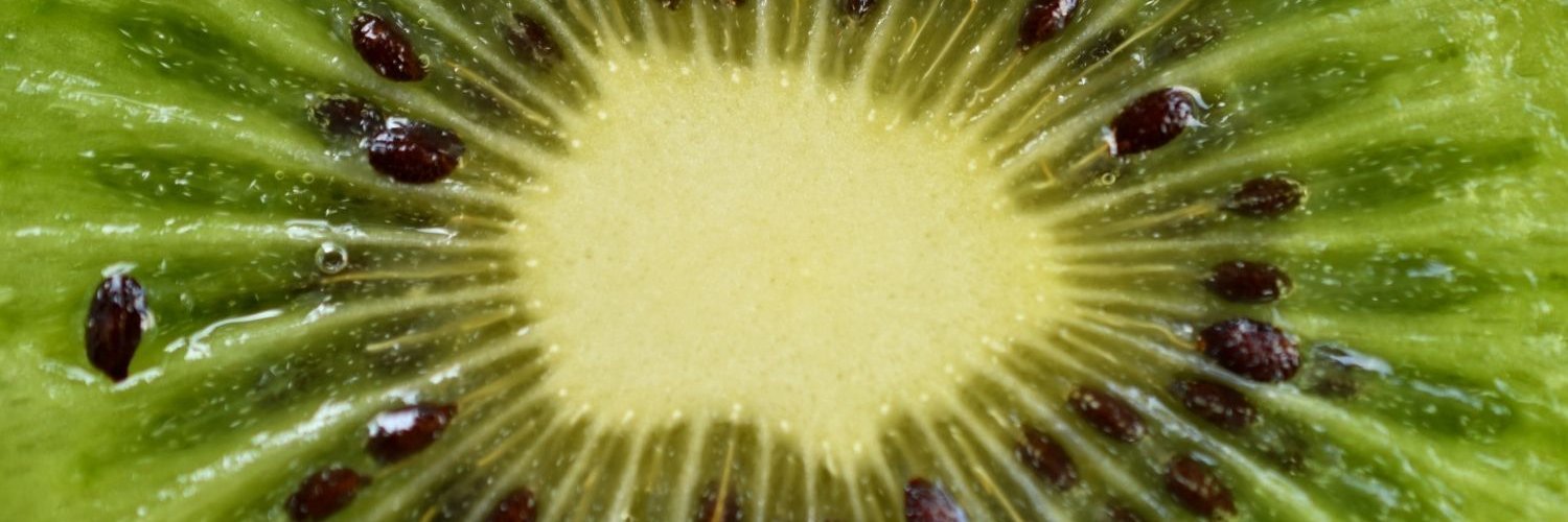 Nahaufnahme einer Kiwischeibe.