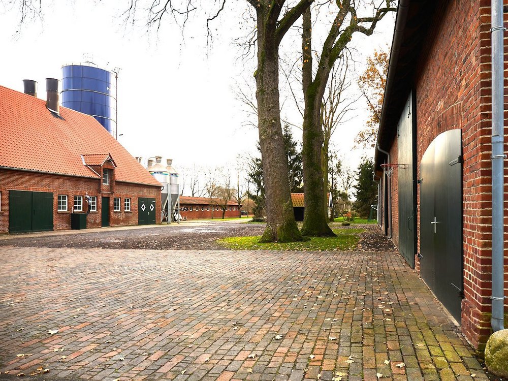 Ein Bauernhof mit einem Wohnhaus im Hintergrund und einem weiteren Gebaeude rechts.