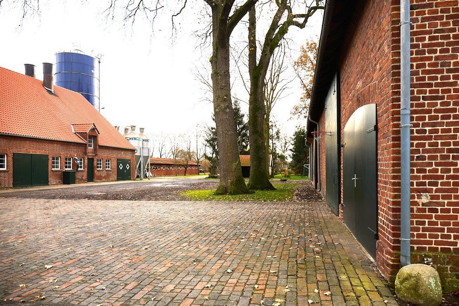 Ein Bauernhof mit einem Wohnhaus im Hintergrund und einem weiteren Gebäude rechts..