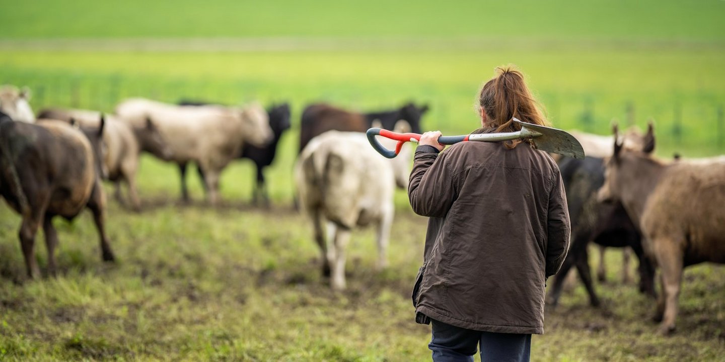 Eine Frau auf einer Weide mit Rindern und einem über die Schulter gelegten Spaten.