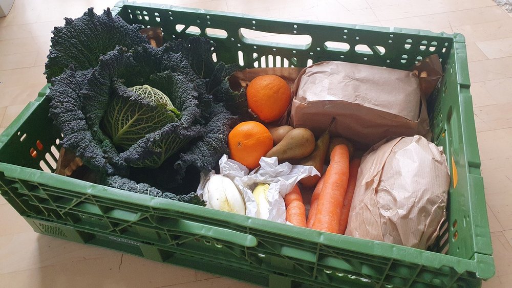 In einer grünen Kunststoffkiste liegen Gemüse, Obst und zwei verpackte Brote.