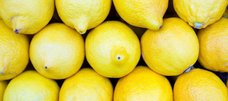 Mehrere Zitronen nebeneinander
