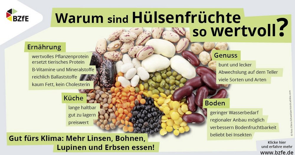 Die Infografik zeigt eine kleine Auswahl verschiedener Hülsenfrüchte mit Text zu den Vorteilen von Hülsenfrüchten. 