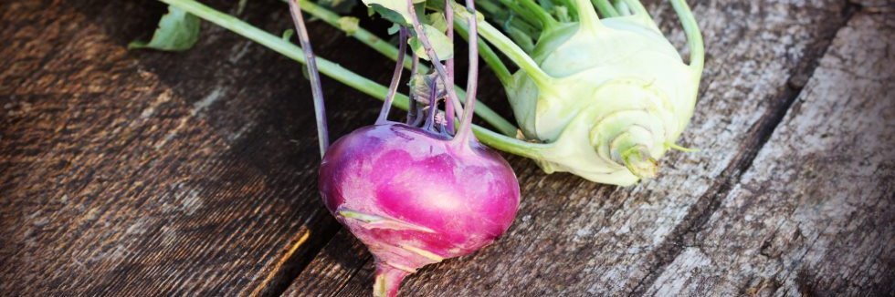 Zwei Kohlrabi-Sorten.