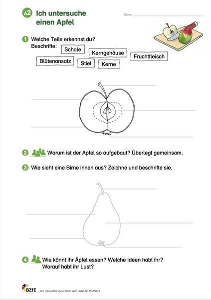 Arbeitsblatt aus dem Material Muss Obst immer schön sein. 