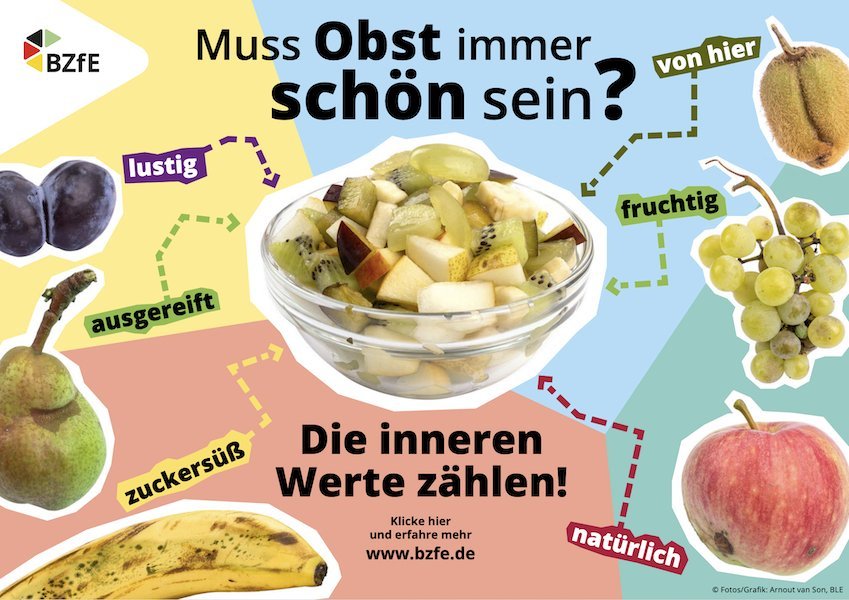 Die Infografik zeigt: Obst ist lecker, auch wenn es nicht makellos aber trotzdem ausgereift ist, zuckersüß schmeckt, lustig aussieht und vieles mehr.