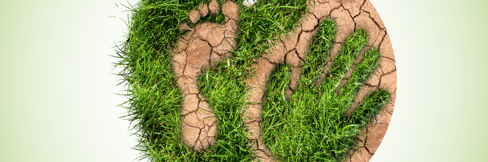 In einem Kreis aus Gras sind ein Fußabdruck und ein Handabdruck zu sehen. 