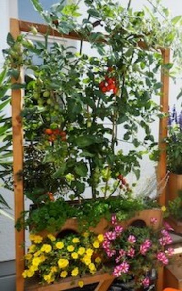 Mit bunten Blumen bepflanztes Regal.