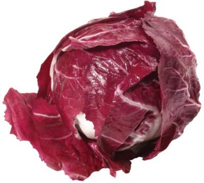 Ein Radicchio auf weißem Hintergrund.