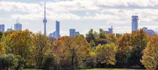Skyline von Toronto mit Bäumen im Vordergrund