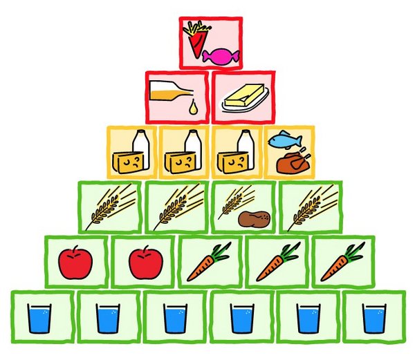 Die Ernährungspyramide 
