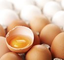 Braune und weiße Eier, ein braunes halbiert