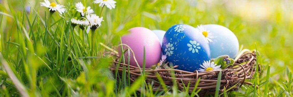 Ein Osternest gefüllt mit bunt gefärbten Eiern steht auf einer Wiese mit Gänseblümchen.  