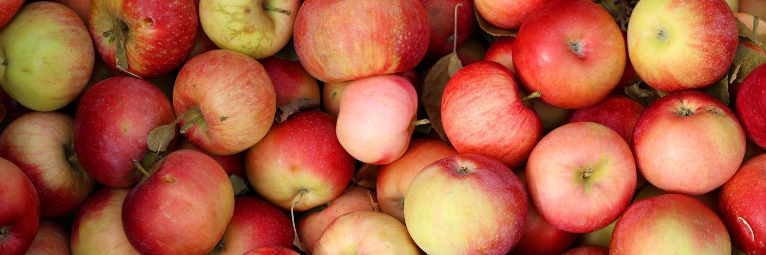 Das Bild ist ausgefüllt mit verschieden großen rot-gelben Äpfeln.