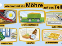 Anhand von Zeichnungen wird gezeigt welche Arbeitsschritte vom Feld bis zum Supermarkt nötig sind. 