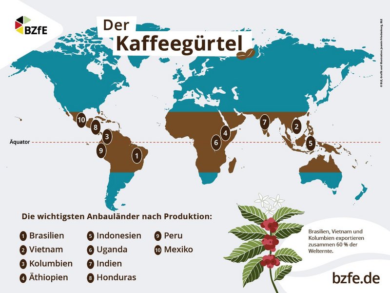 Die Infografik zeigt eine Weltkarte mit braun markiertem Kaffeegürtel und nummerierten Anbauländern Brasilien, Vietnam, Kolumbien, Äthiopien, Indonesien, Uganda, Indien, Honduras, Peru, Mexiko sowie Illustration einer Kaffeepflanze mit roten Kaffeekirschen und weißen Blüten.