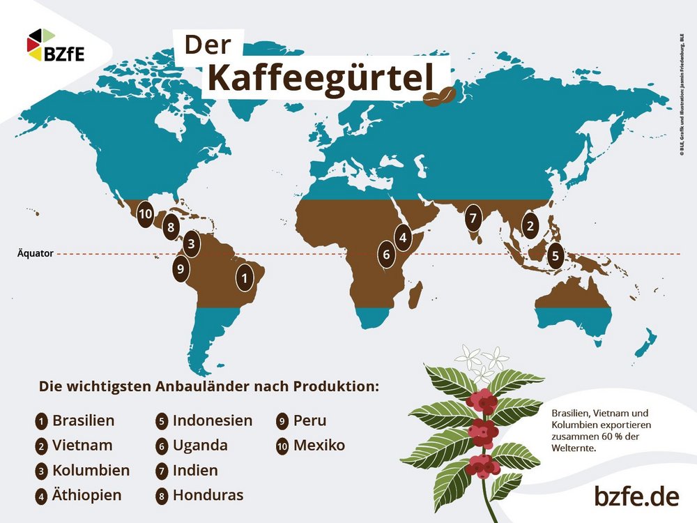 Die Infografik zeigt eine Weltkarte mit braun markiertem Kaffeegürtel und nummerierten Anbauländern Brasilien, Vietnam, Kolumbien, Äthiopien, Indonesien, Uganda, Indien, Honduras, Peru, Mexiko sowie Illustration einer Kaffeepflanze mit roten Kaffeekirschen und weißen Blüten.