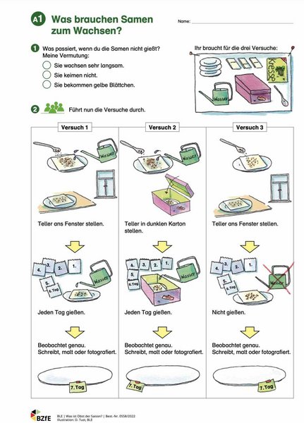 Arbeitsblatt aus dem Material Muss Obst immer schön sein. 