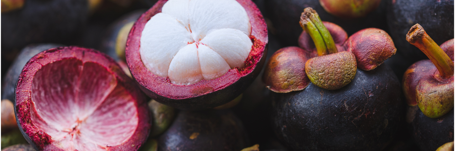 Neben einer geschlossenen purpurvioletten Mangostane-Frucht liegt eine geöffnete Frucht mit weißen Segmenten. 