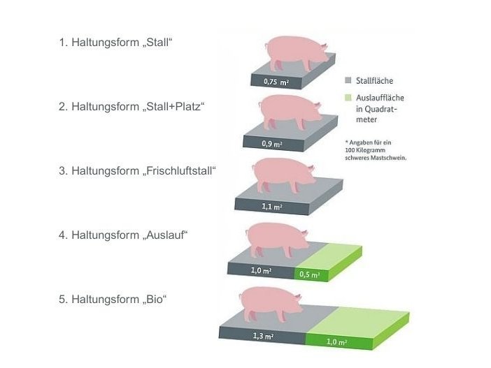 Die Grafik zeigt, welche Stallfläche einem Schwein von 100 Kilogramm gemäß den Haltungsform-Stufen der staatlichen Tierhaltungskennzeichnung jeweils zur Verfügung stehen muss.
