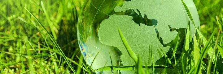 grüne Weltkugel im Gras