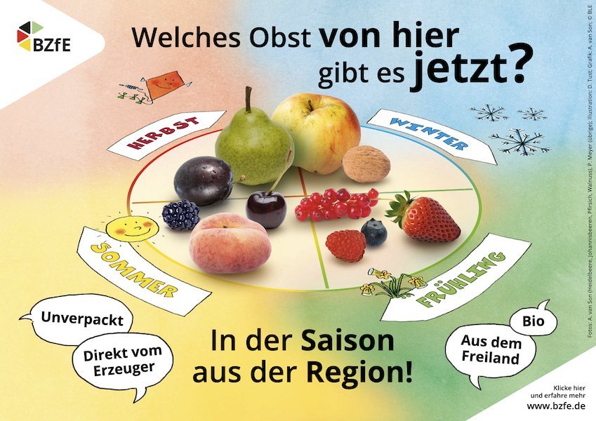 Die Infografik zeigt, wann welches Obst bei uns wächst.