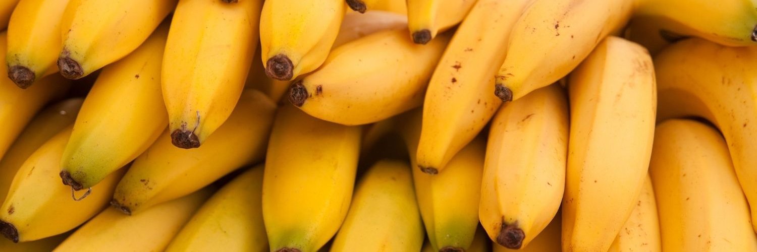 Viele Bananen liegen übereinander. 