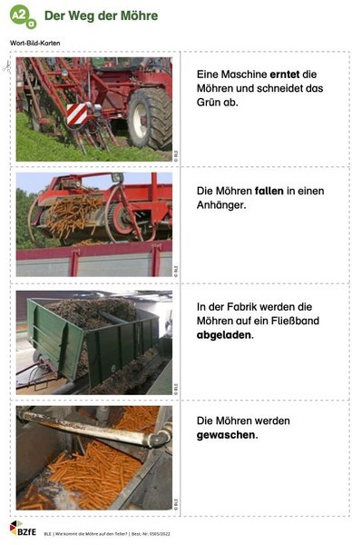 Arbeitsblatt aus dem Material Wie kommt die Möhre auf den Teller. 