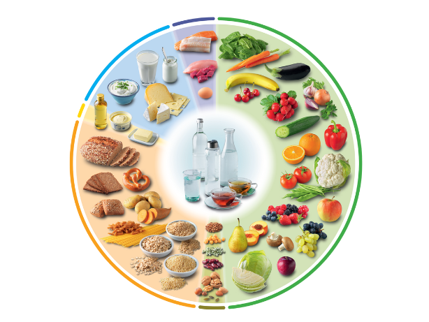 Das Bild zeigt den Ernährungskreis der Deutschen Gesellschaft für Ernährung. 